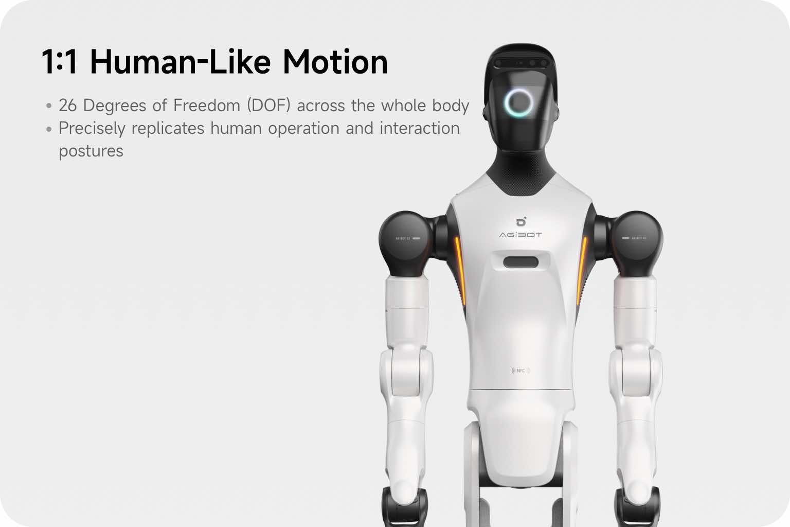 G2 humanoid robot