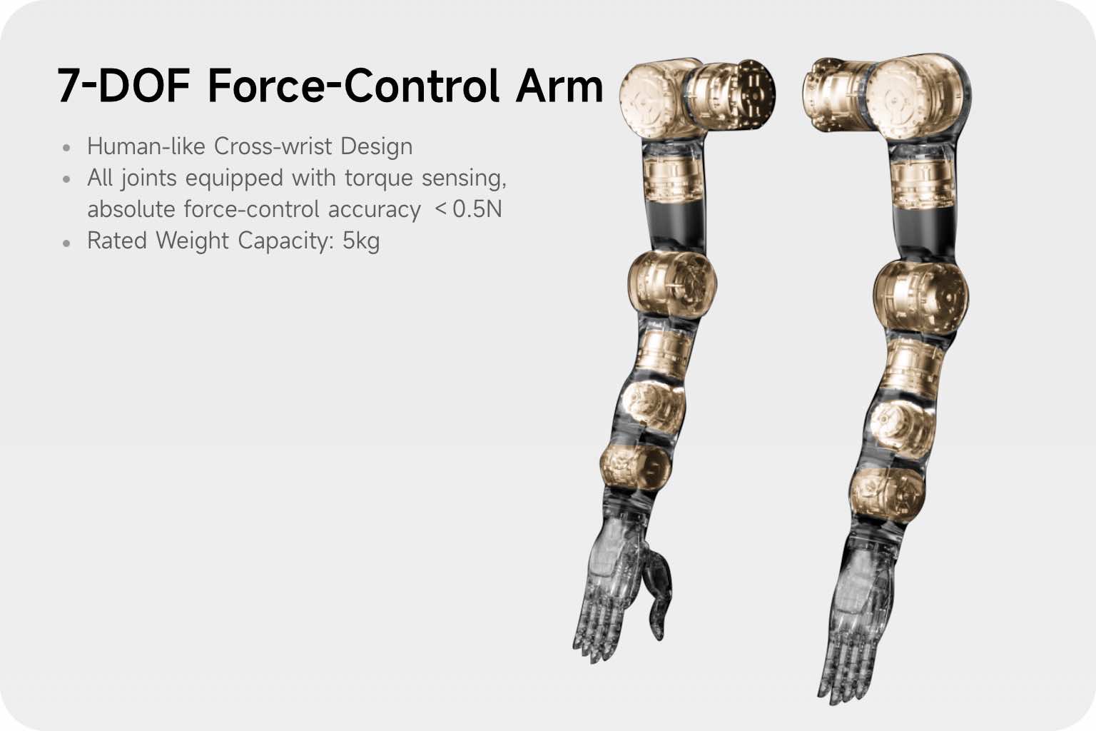 G2 humanoid robot